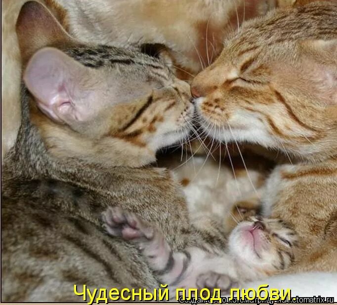 любовь не вздохи при луне. женщина стонет. под вздохи. игры для двоих для взрослых ахи вздохи. ахи вздохи игра для двоих.