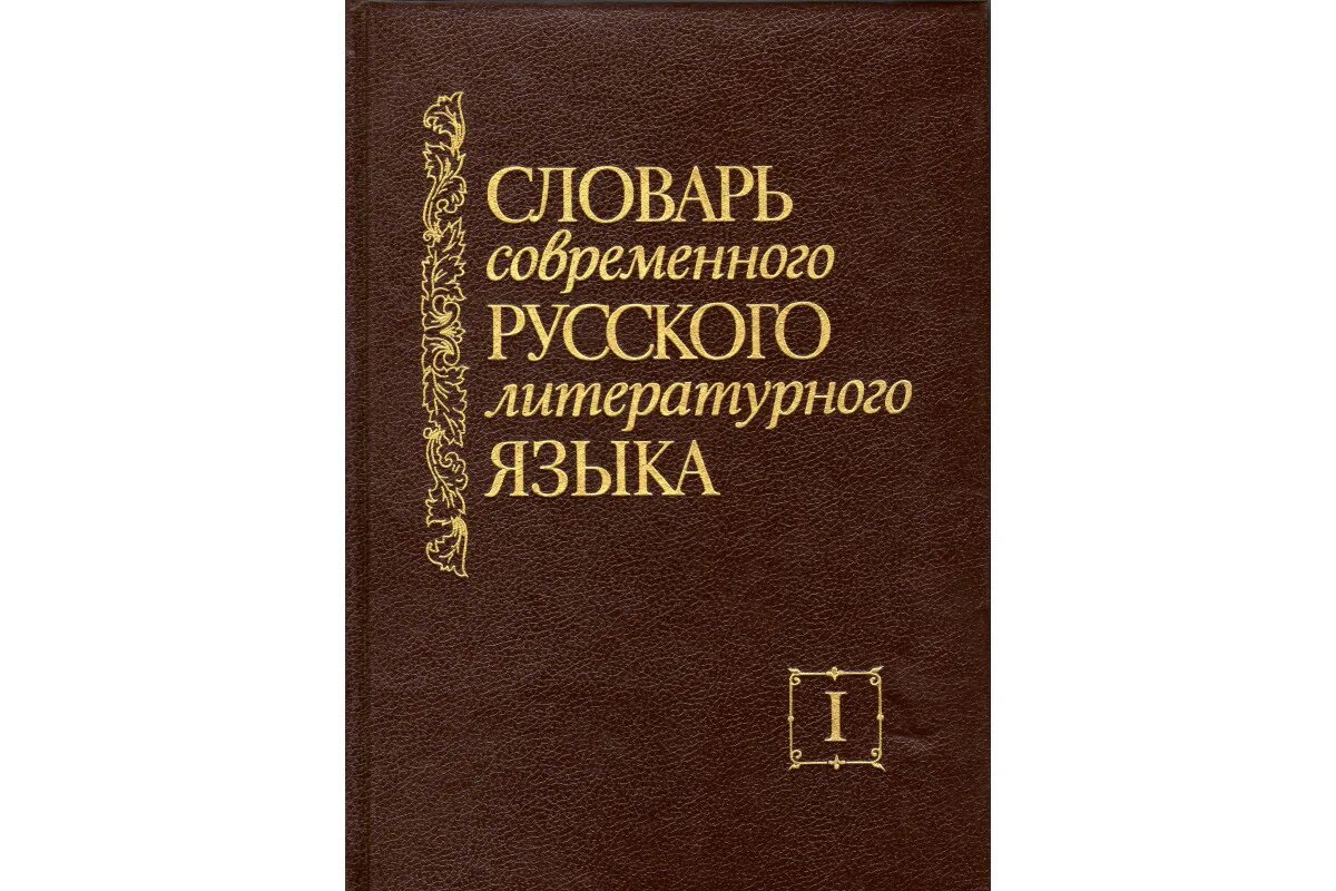 Словарь современного русского языка. Словарь современного литературного языка. Словарь русского литературного языка. Русский литературный язык.