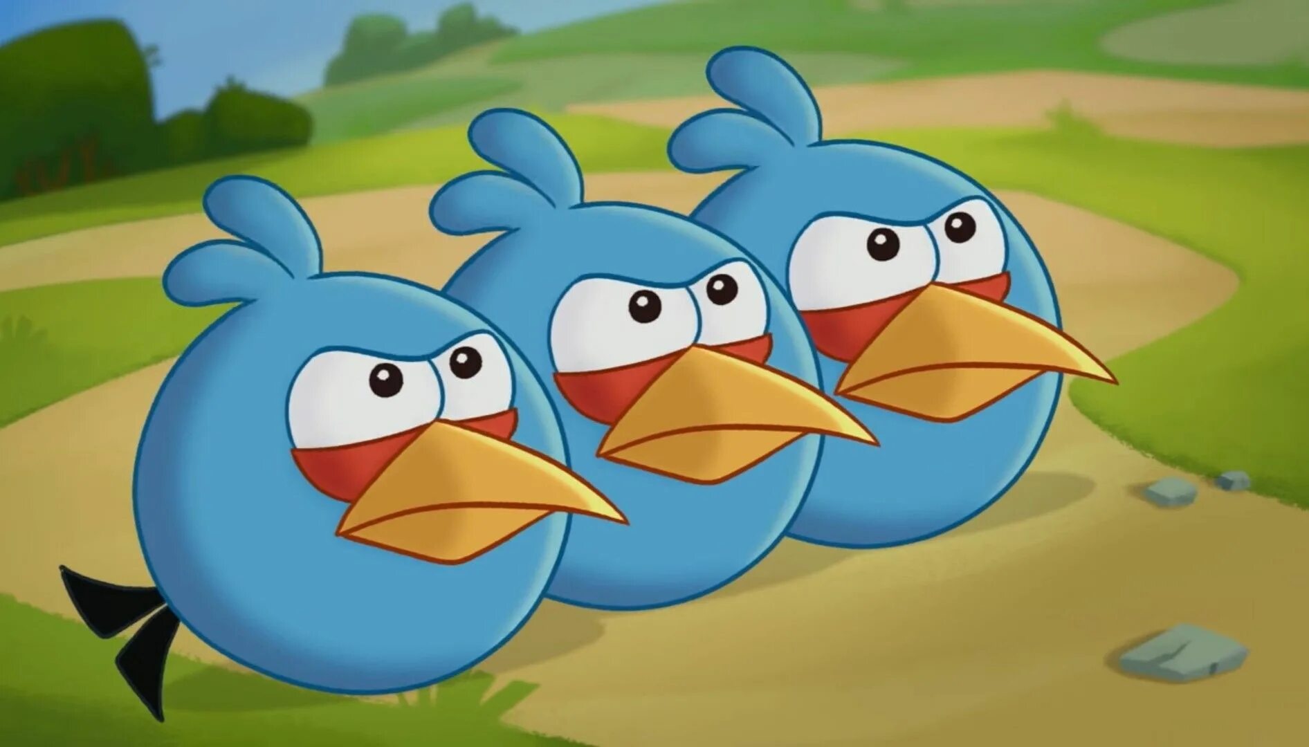 Ангрибкрс синяя птичка. Ангрибкрс синяя птичка. Голубая троица энгри бердз. Angry birds синие птички. Синие злые птицы.