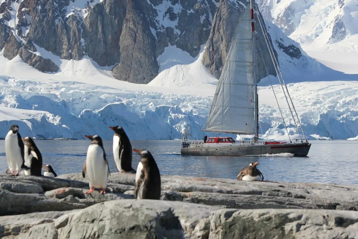 Ушуайя антарктида. Ушуайя пингвины. Ушуайя тур в Антарктиду. Ушуайя экскурсии в Антарктиду.