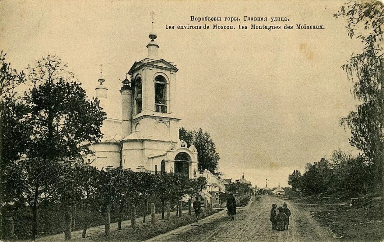 Село воробьевы