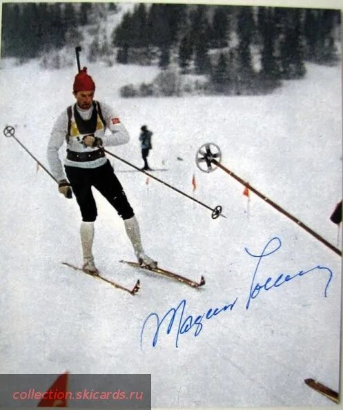 Халвар ханевольд фото. Чтобы научить биатлониста магнара сольберга. Магнар сольберг муравейник. Биатлонист магнар сольберг на муравейнике. Сольберг биатлонист магнар отрабатывал.