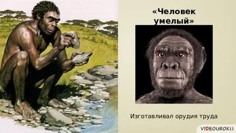 Вторая древнейшая