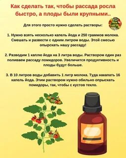 Йод для перцев