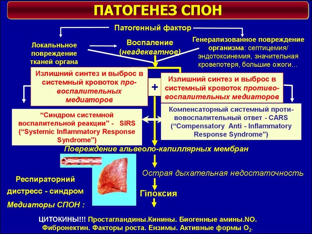 Синдром системного воспалительного ответа этиология. Механизм развития синдрома системной воспалительной реакции. Синдром системной воспалительной реакции патогенез. Sirs синдром патогенез.