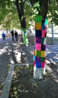 Оделся деревом