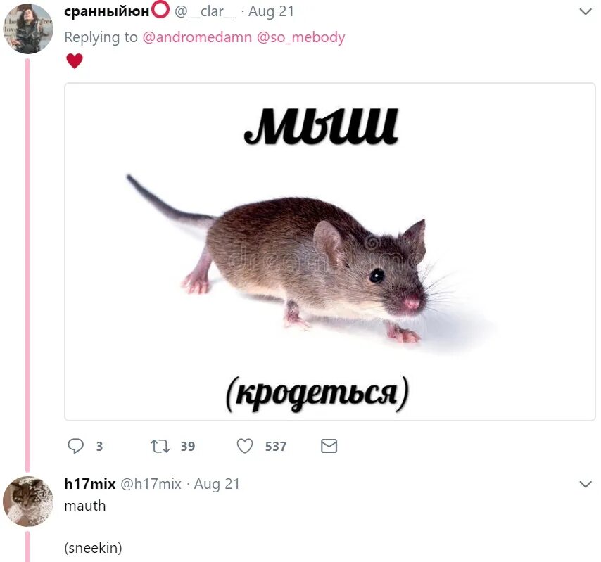 Мышка крадется. Мышь крадется. мемы мышь крадется. мышь кродеца. крыса крадется мем.