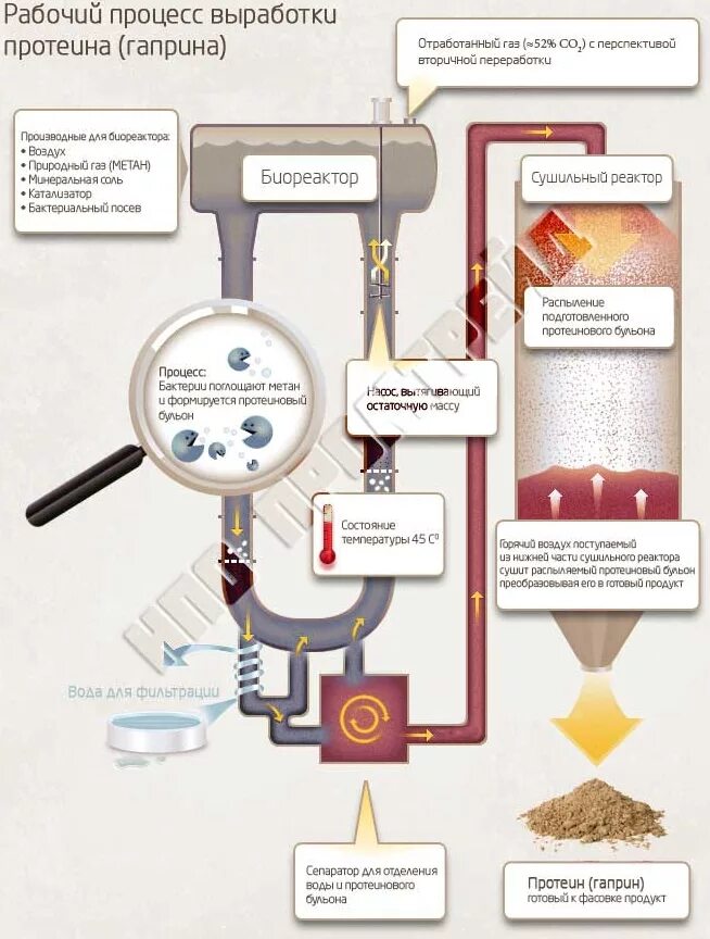 Биотехнология получения белка. Технология производства кормового белка. Схема получения кормового белка. Гаприн технология производства. Технологическая схема производства гаприна.