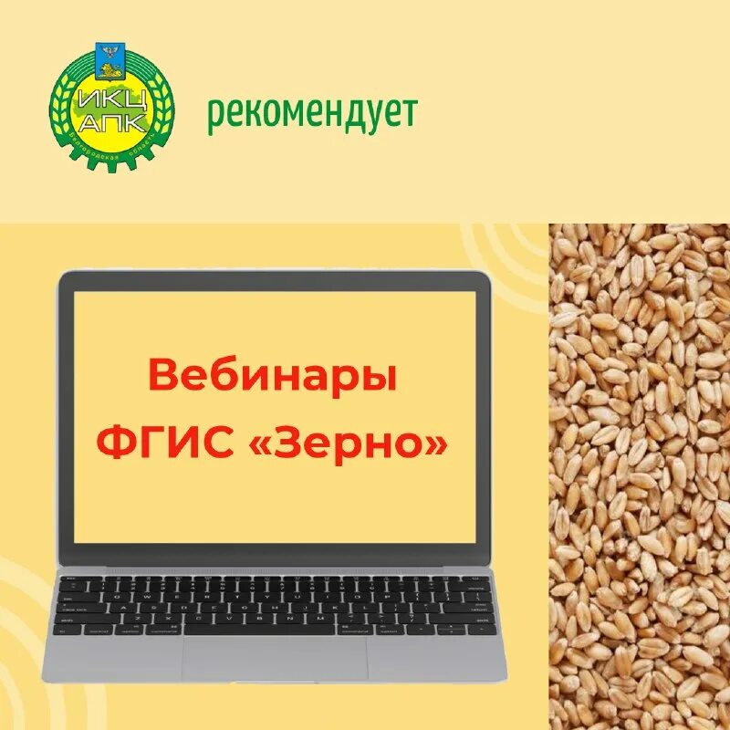 Фгис зерно 2023. Фгис зерно спецагро. Фгис зерно 2023. Фгис зерно логотип. Фгис зерно.