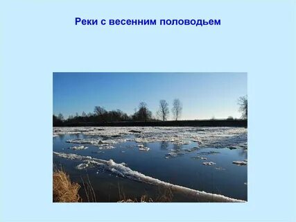 Весеннее половодье какая река