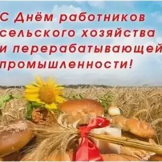 Какова числа день сельского хозяйства