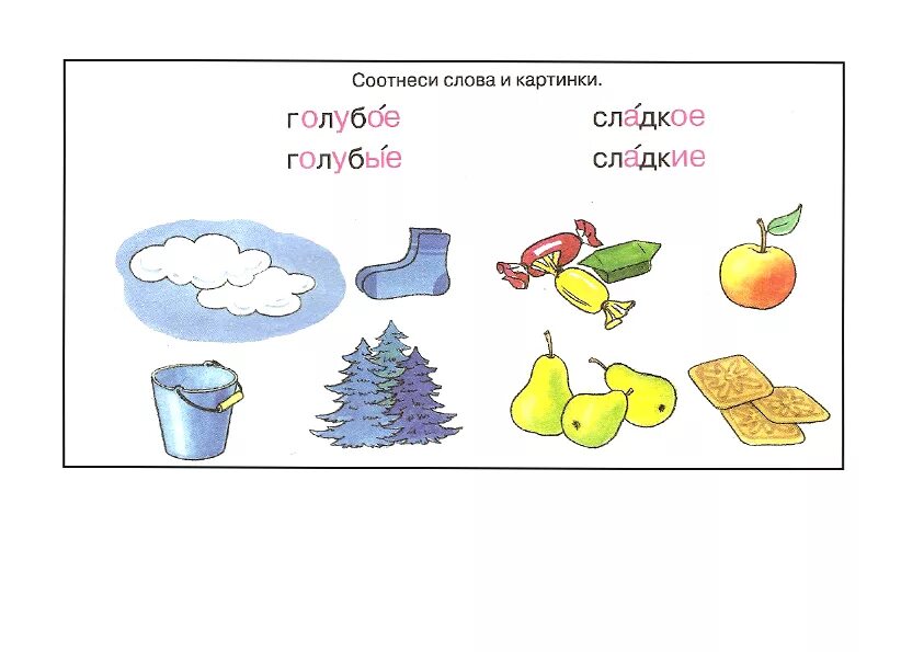 Соотнеси слова с картинками