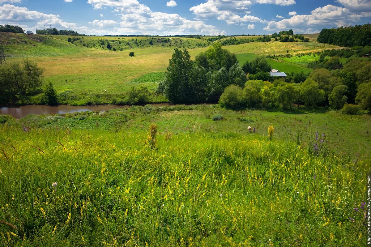 родной липецкий край. липецк природа. река воргол плотина. природа города кирсанов река пурсовка осень. стишок про родной край.