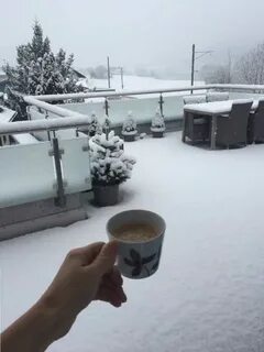 Утром выпадает