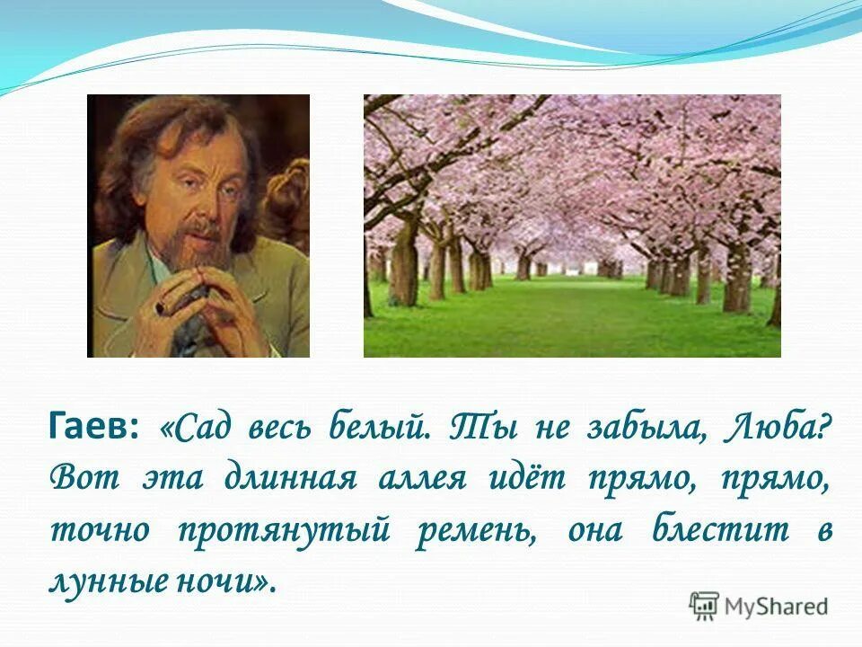 Гаев характеристика вишневый сад с цитатами. Стих вишневый сад Чехов. Вишневый сад символ чего. Гаев вишневый сад презентация. Сад весь белый вот эта длинная аллея идёт.
