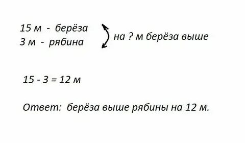 Высота березы 15м а рябины