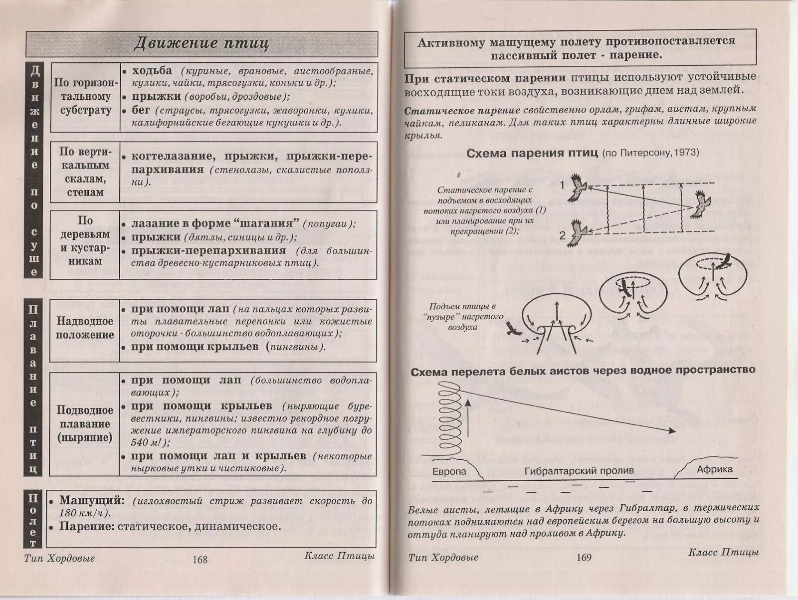 Тест класс птицы вариант 1. Класс птицы тест. Тест по биологии птицы. Тест по биологии по птицам. Тест по биологии 7 класс птицы.