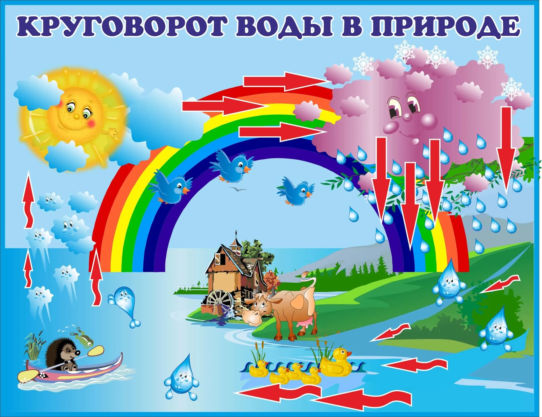 Круговорот воды в природе для детей