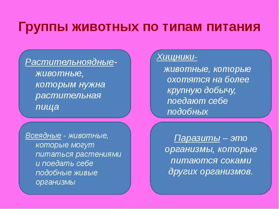 Группы животных по типу питания. Способы питания животных. Классификация животных по способу питания. Группы животных по питанию.