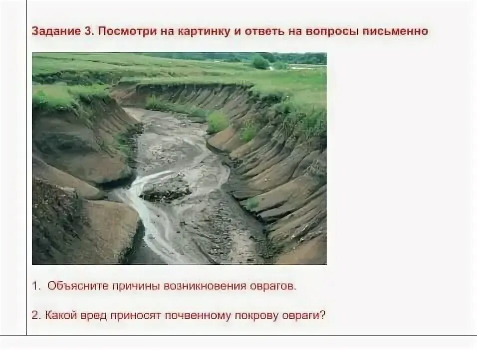 Вред оврагов. Как образуются овраги. Предотвращение образования оврагов. Овраг корни. Причины образования оврагов и балок.