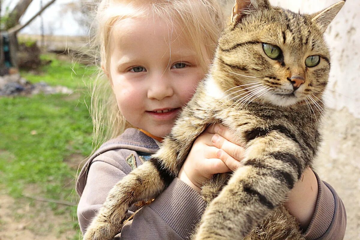 Козочка и кот. Кис дай. Козочка и кот. Кис дай. Кис дай.