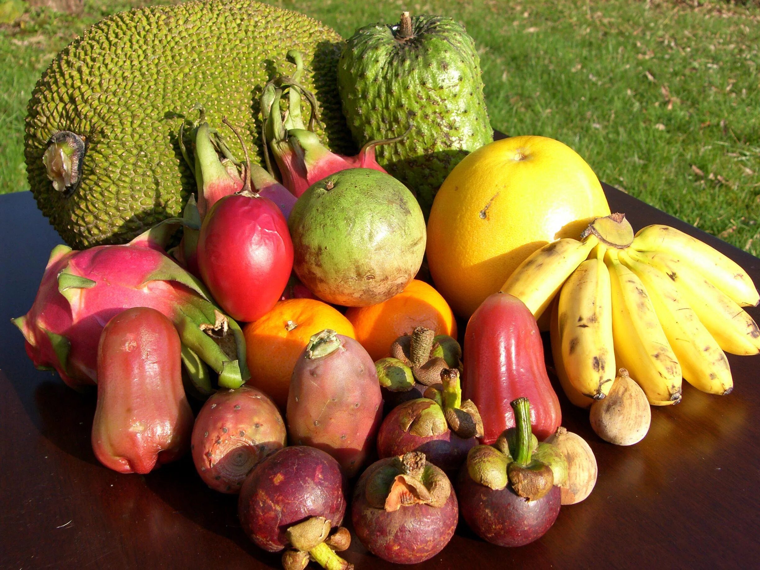 Маракуйя Занзибар. Экзотические фрукты Занзибара. Тропические фрукты Австралии. Экзотические овощи.