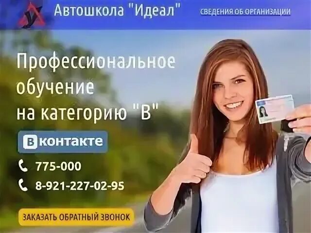 Профессиональный идеал