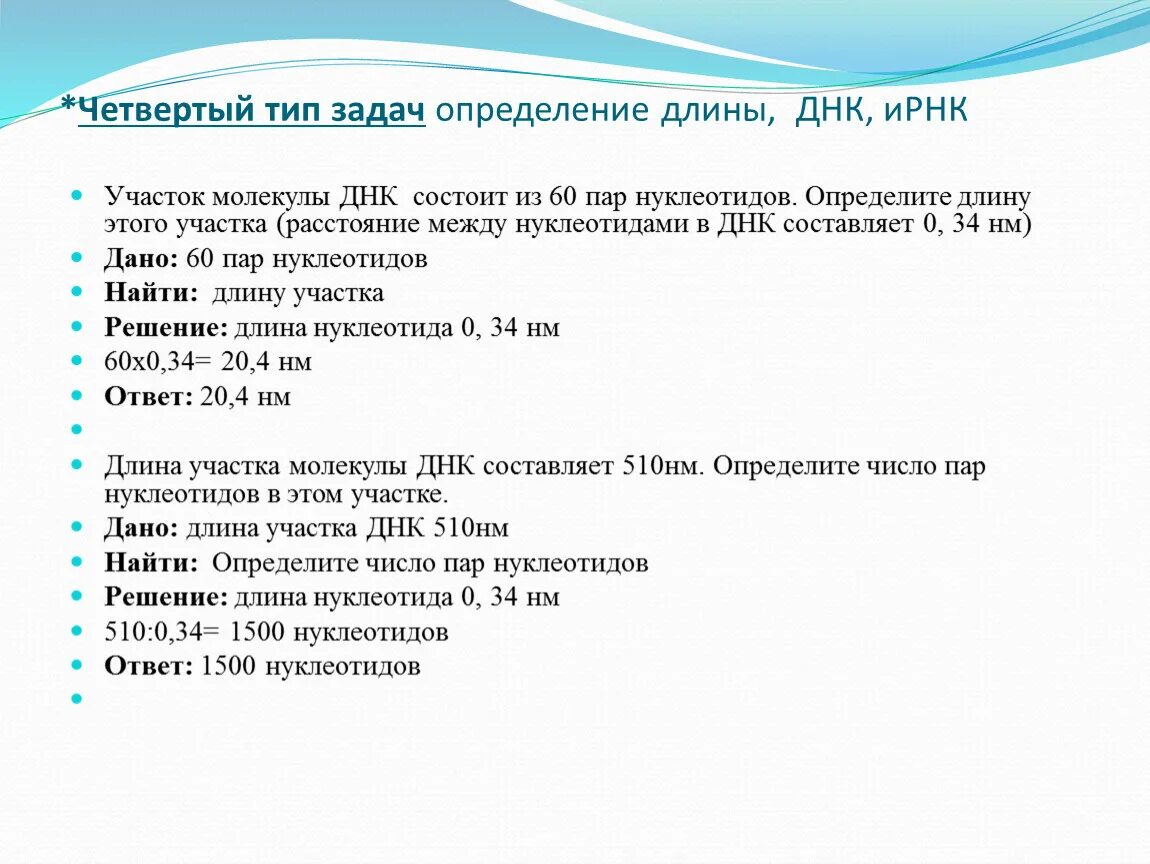 Как определить длину участка ДНК. Как найти длину молекулы ДНК. Задачи по молекулярной биологии. Как определить длину молекулы ДНК В биологии.