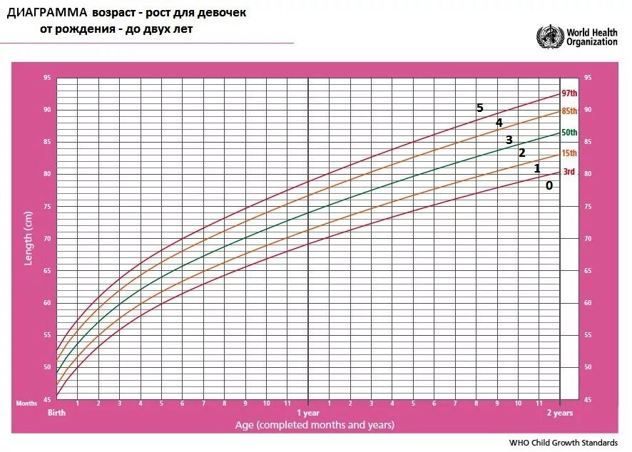 Вес ребенка до года. Вес и рост малыша 6 месяцев таблица воз. Таблицы набора веса грудничков воз. Таблица роста и веса девочек до года воз. Воз таблицы веса и роста до 2 лет.