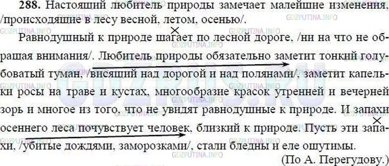 Русский язык 8 класс ладыженская номер 288. Гдз по русскому языку 8 класс упражнение 288. Русский язык 8 класс ладыженская упражнение 288. Упражнение 288 по русскому языку 8 класс ладыженская.