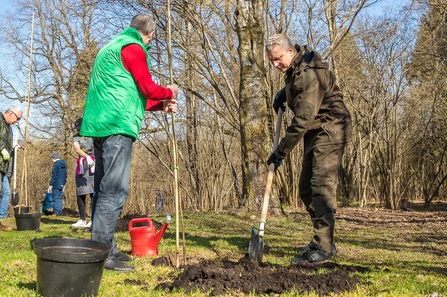 Последний субботник. Общегородской субботник. Последний субботник. Последний субботник. Субботник в городе.