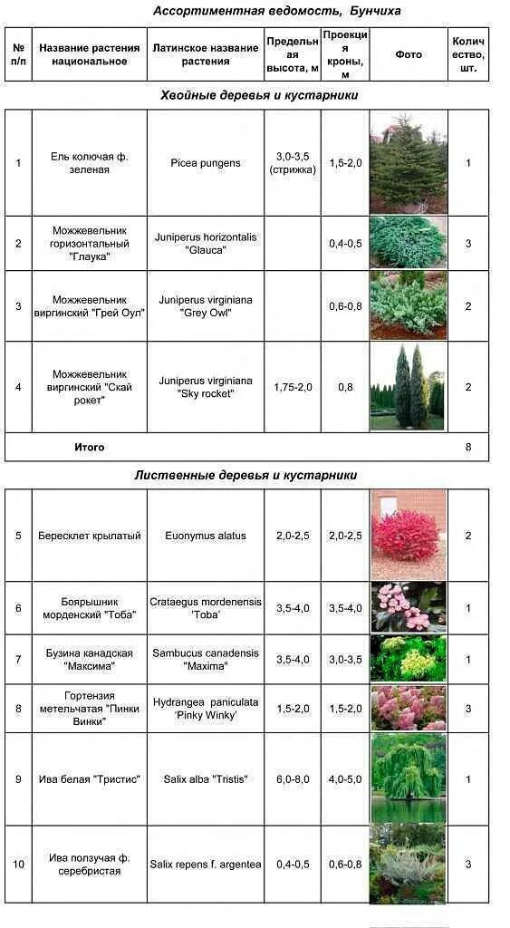 Выберите примеры кустарников. Ведомость ассортимента растений. Ассортиментная ведомость растений в ландшафтном дизайне таблица. Ассортиментная ведомость хвойных растений. Таблица ассортиментной ведомость цветов.