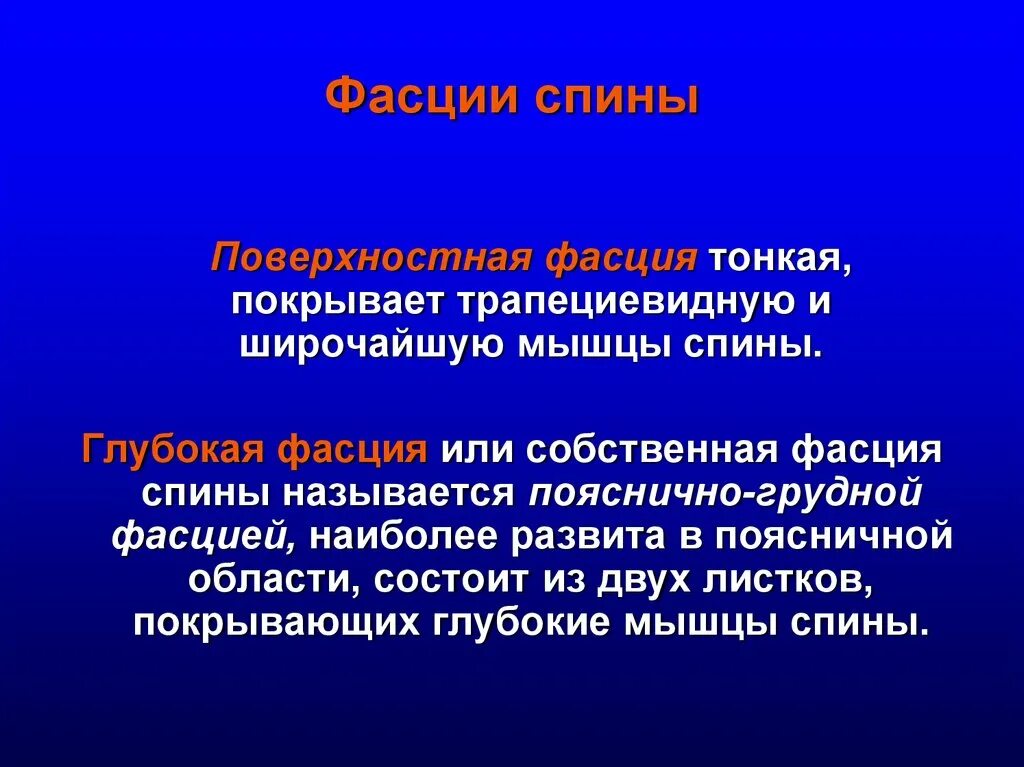 Фасции спины. Поверхностный листок пояснично грудной фасции. Поверхностная фасция спины. Мышцы и фасции спины глубокие.