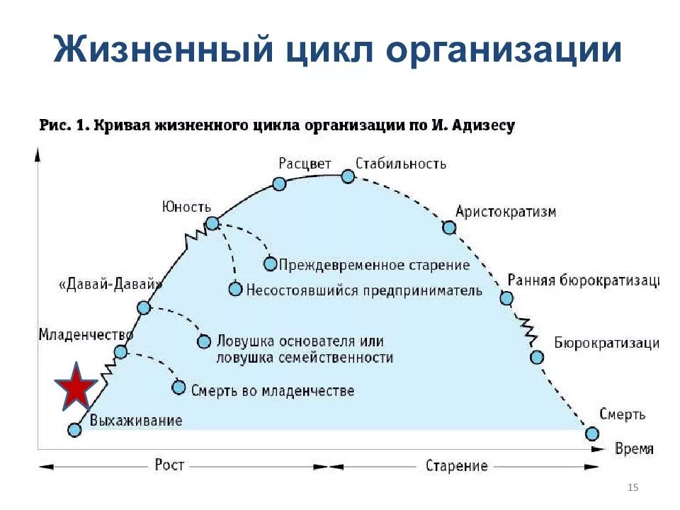 Этапы развития организации жизненный цикл организации. Фазы жизненного цикла фирмы. Стадии жизненного цикла организации. Стадия (фаза) жизненного цикла предприятия. Организация ее жизненный цикл