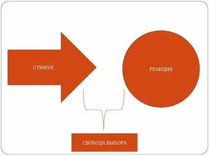 Личность как система реакций на различные стимулы