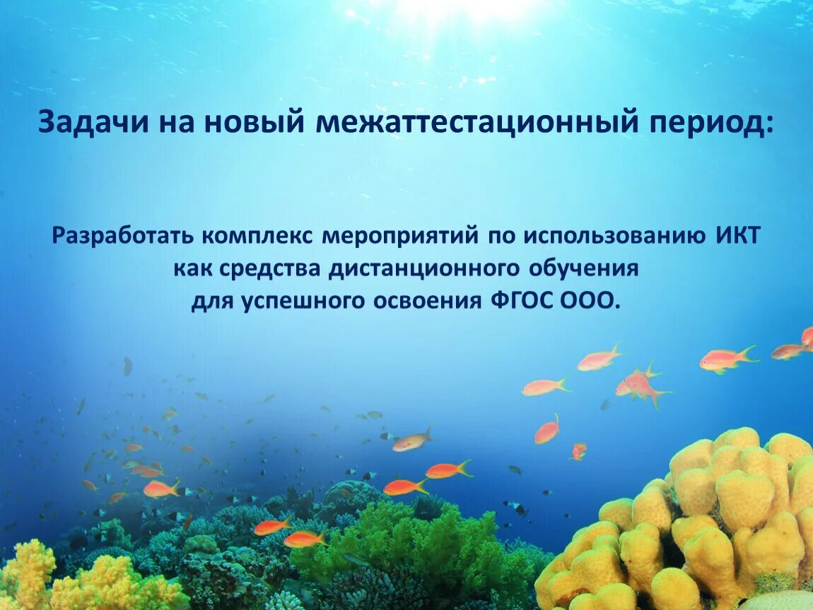 Водная среда обитания организмов 5 класс презентация. Проект на тему подводный мир. Живые организмы обитающие в водной среде. Задачи по теме подводный мир. Проект на тему морские обитатели.