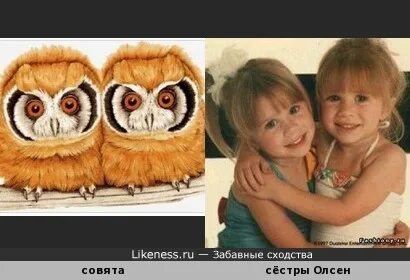 Не смотря на сходство