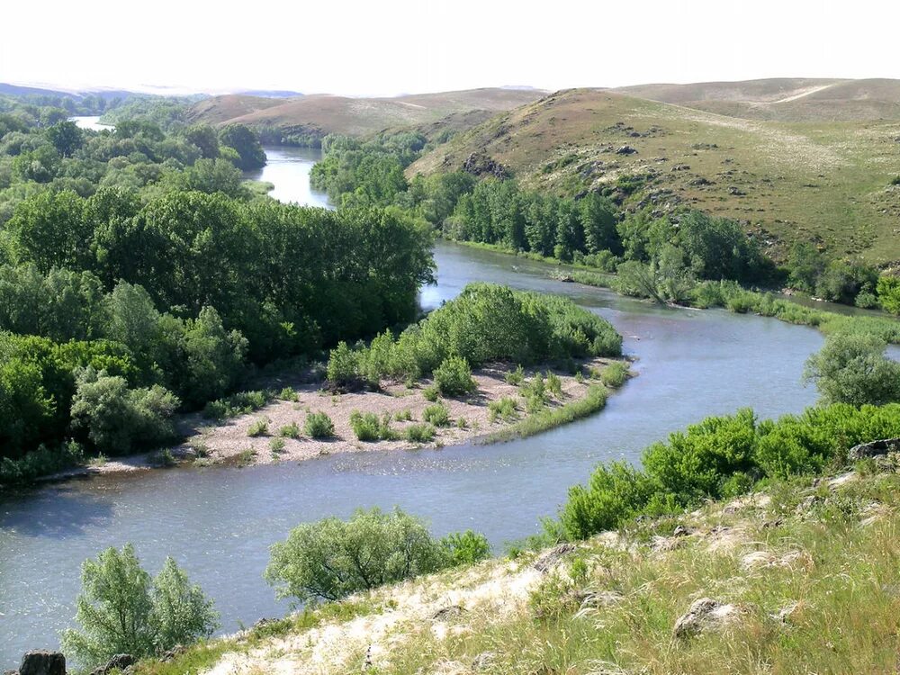 Река алей Алтайский край. Алей (река) реки Алтайского края. Елунино.