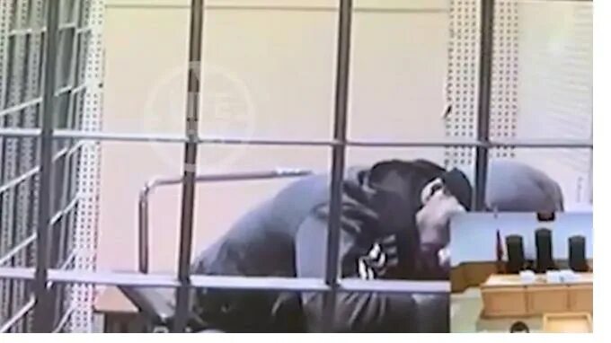 адвокат абызова алексей кирсанов. абызов в суде. дело абызова роженкова. абызов в тюрьме. абызов в тюрьме.