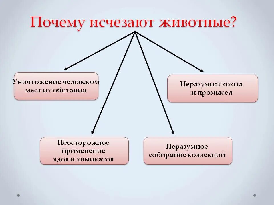 Вид многие. Почему исчезают животные. Почему вымирают животные. Почему исчезают виды животных. Почему исчезают животные и растения на земле.