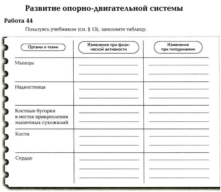 Эволюция систем животных таблица. Эволюция систем животных таблица