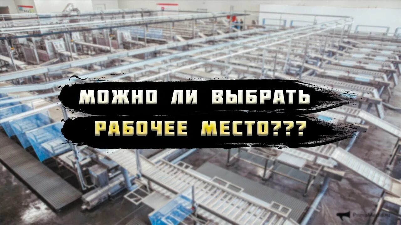 Рыбообработка. Сахалин заводы рыбообработки. Работа вахтой. Де ен тяк валерий иванович. Рыбообработчик вахта камчатка.