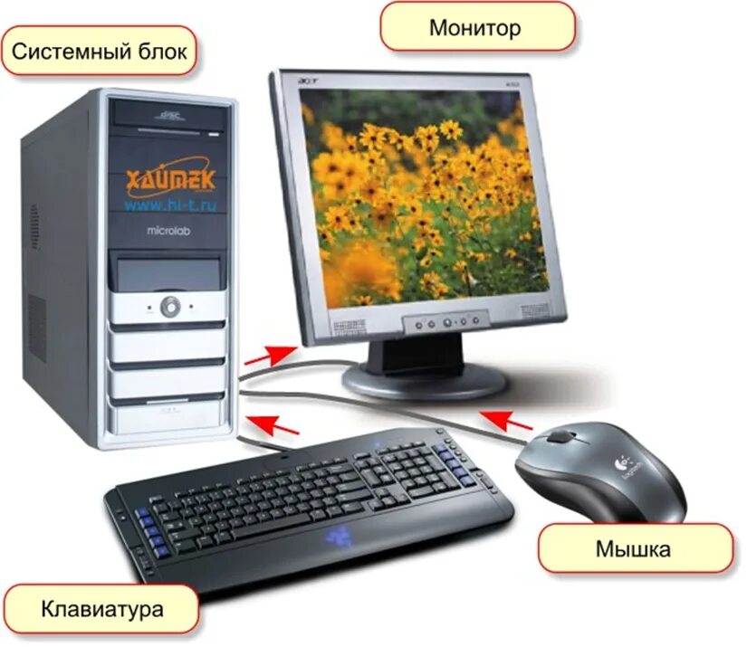 Монитор мыши. Устройство компьютера монитор системный блок мышь и клавиатура. Системный блок, монитор (дисплей), клавиатура, мышь.. Монитор клавиатура мышь. Монитор мышка клавиатура системный блок.