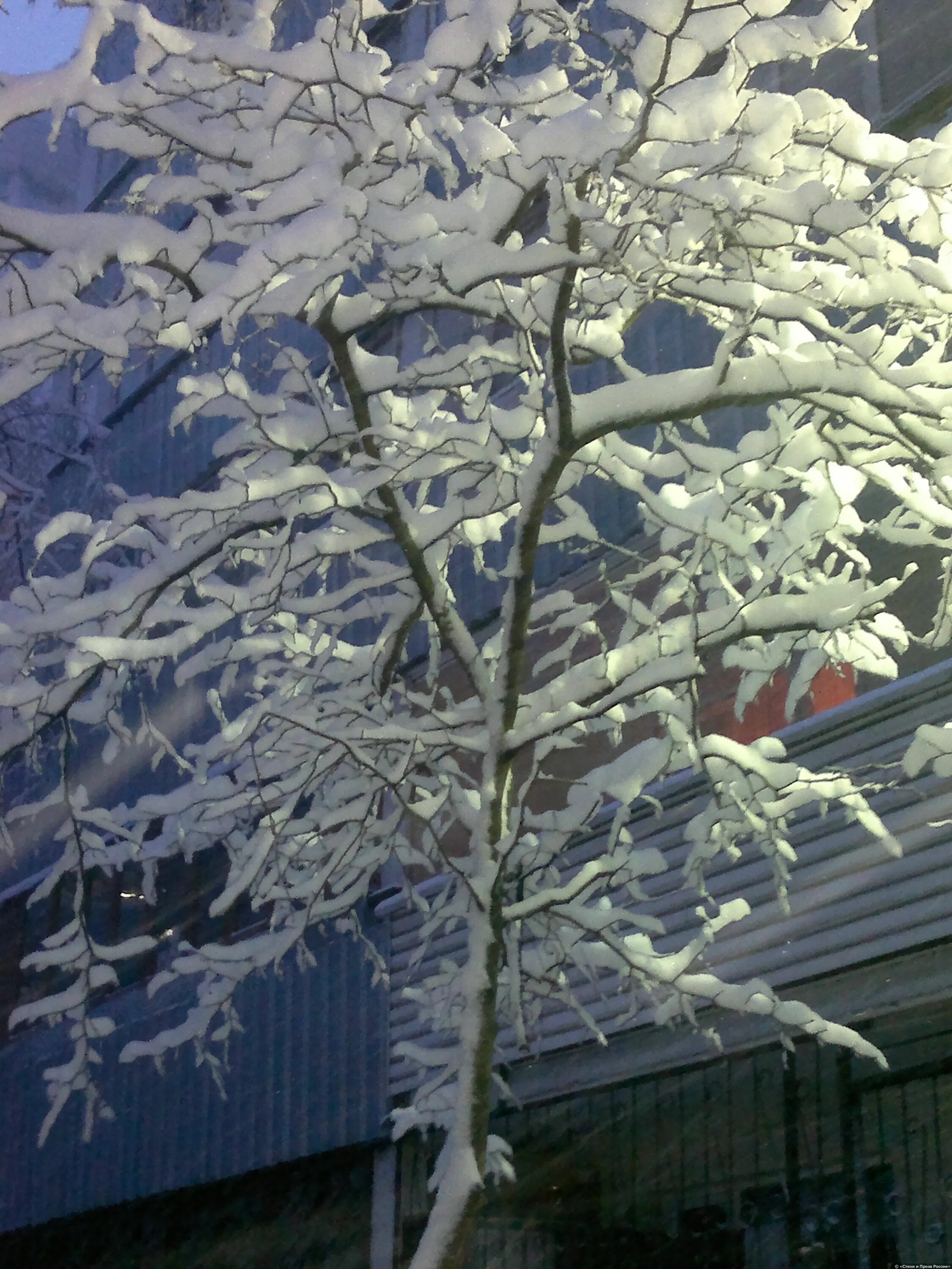Ледяной дождь в россии 2010 год. Ледяной дождь. Ледяной дождь в москве 2010. Ледяной дождь в россии 2010 год. Ледяной дождь в краснодаре 2014.