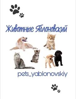 Напомните группе