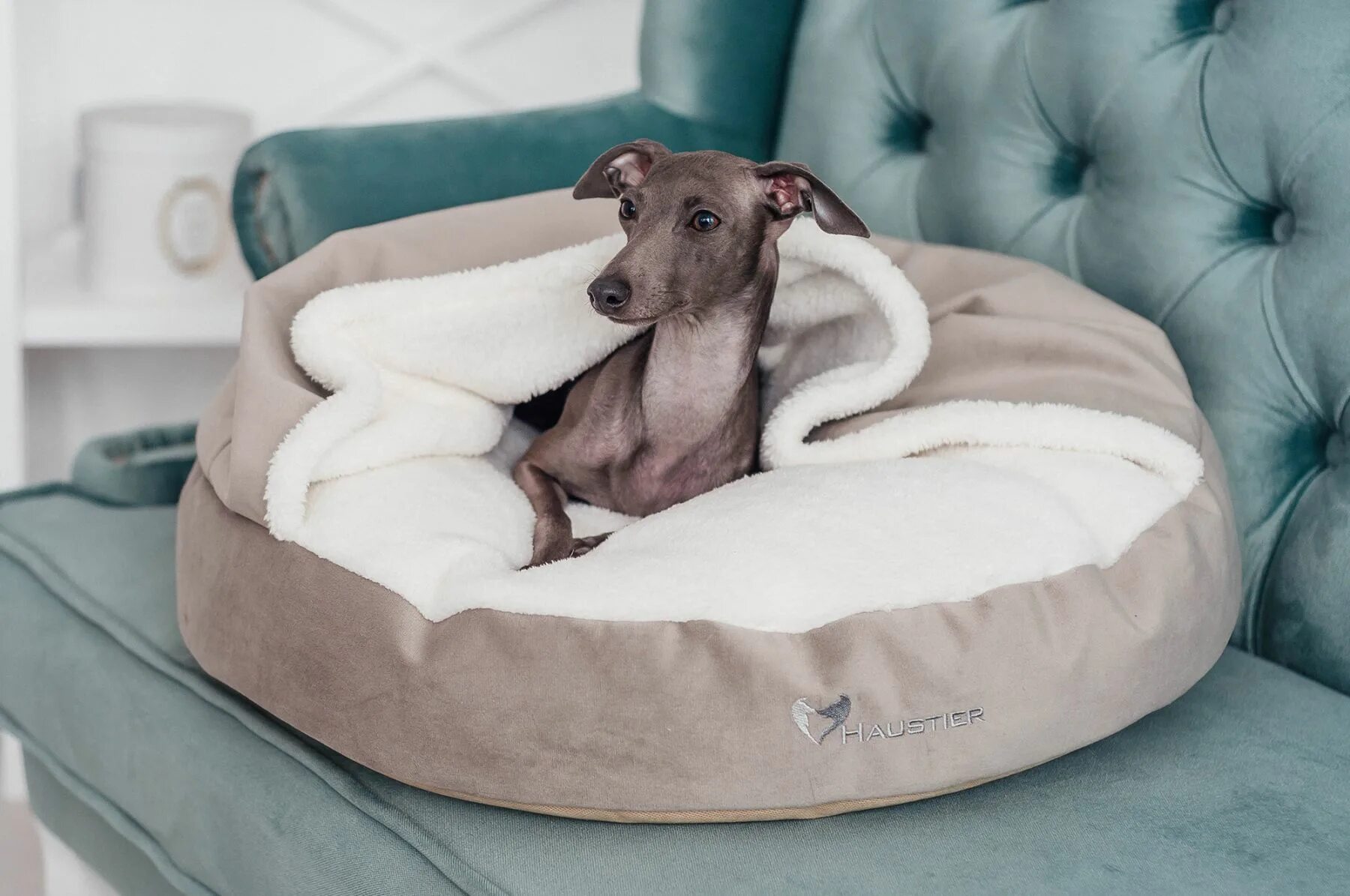 Лежак для собаки съемный чехол. Лежак luxury cozy dog. лежанка для собаки haustier. лежанка для собак с одеялом. лежанка для уиппета.