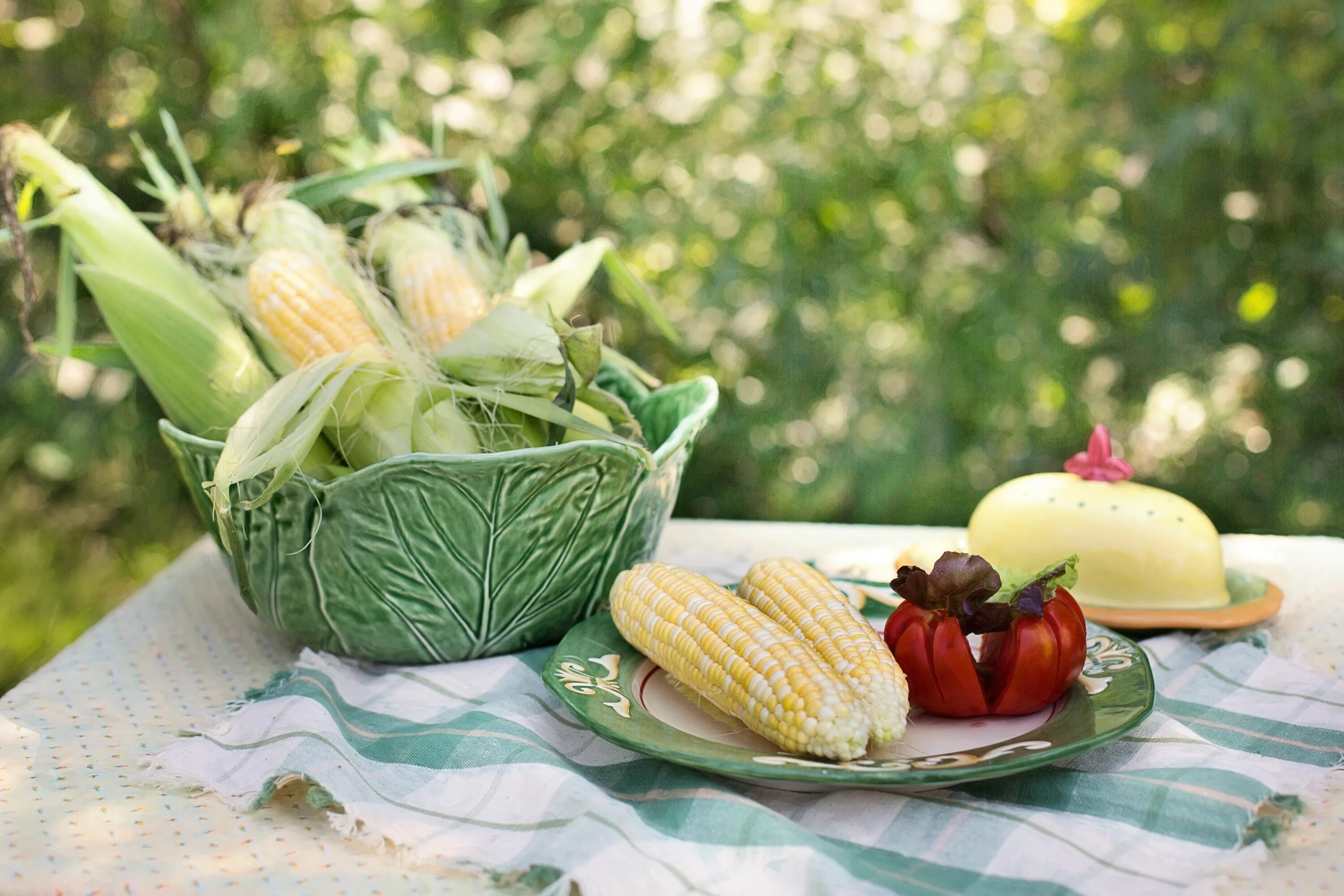 Летнее питание. Летняя еда. Пикник с кукурузой. Лето еда. Natural harvest