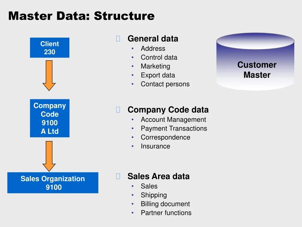 Элемент data. Master data. мастер данные. master data mm. sap курс fi.