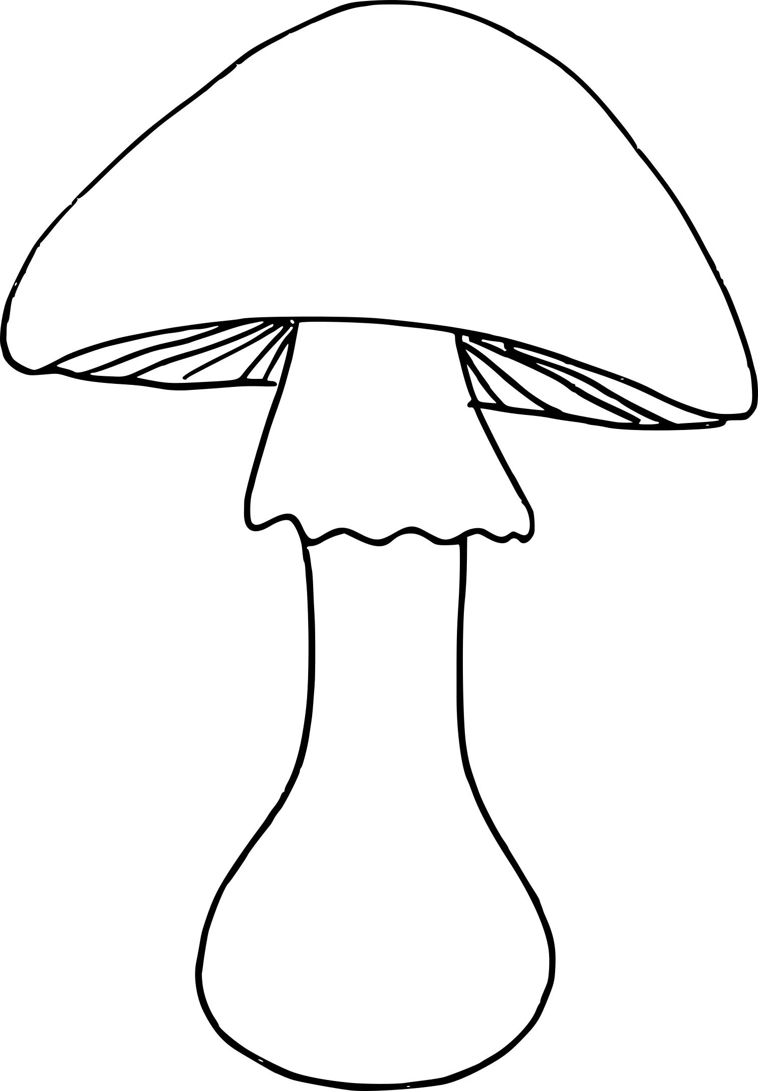 Трафарет гриба для детей. Силуэты грибов. Гриб шаблон для вырезания. Грибочки для детей. Гриб раскраска.