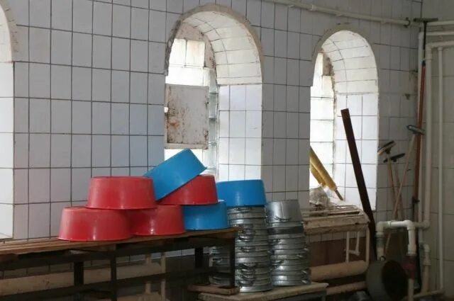 Фото: Банный сервис, баня, ул. Семёна Середы, 31, Рязань, Россия - Яндекс.Карты